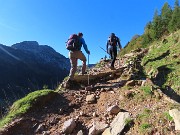 Lago di Pietra Quadra (2116 m)-prima neve in bella compagnia dalle Baite di Mezzeno-29sett25 - FOTOGALLERY